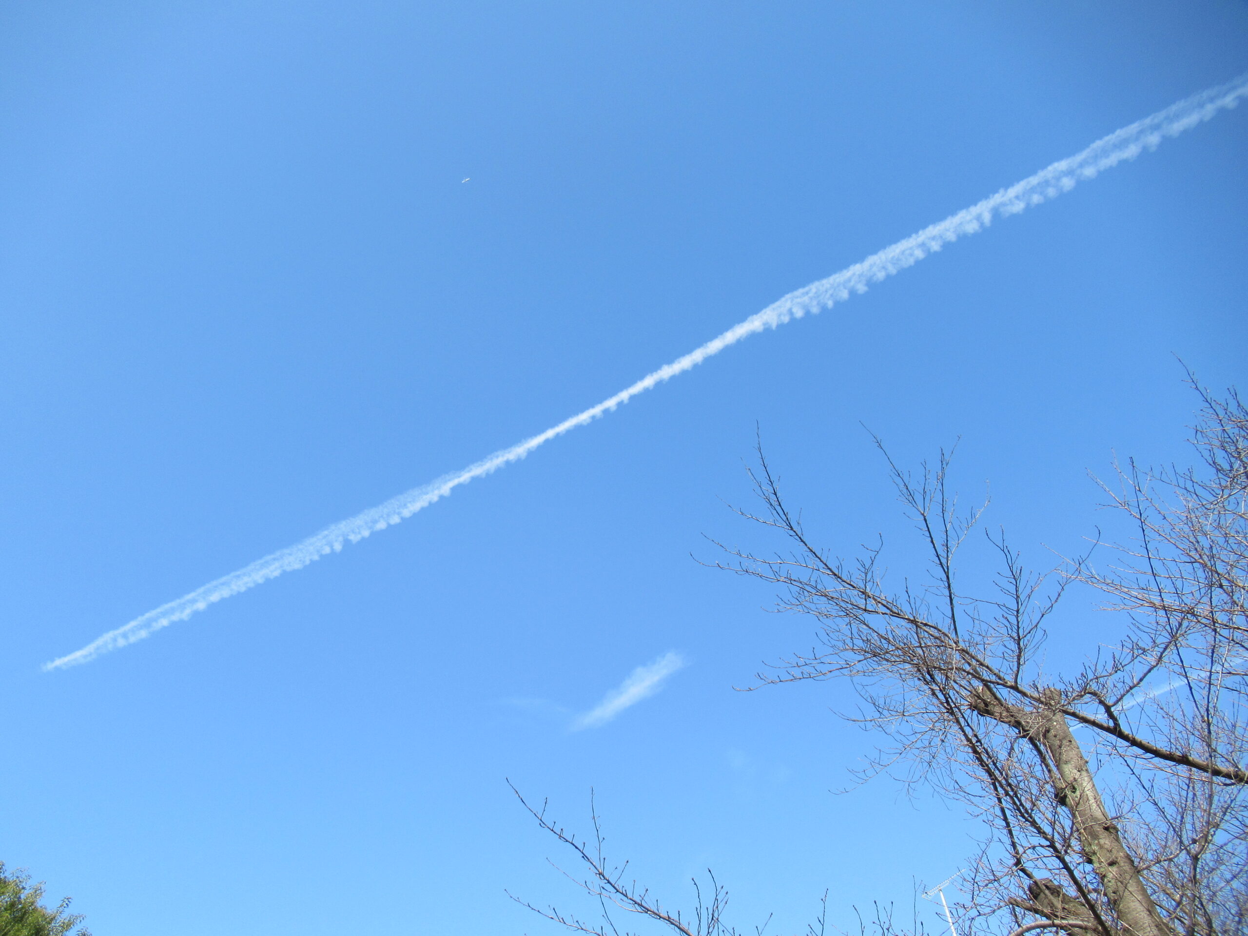 あけましておめでとうございます！