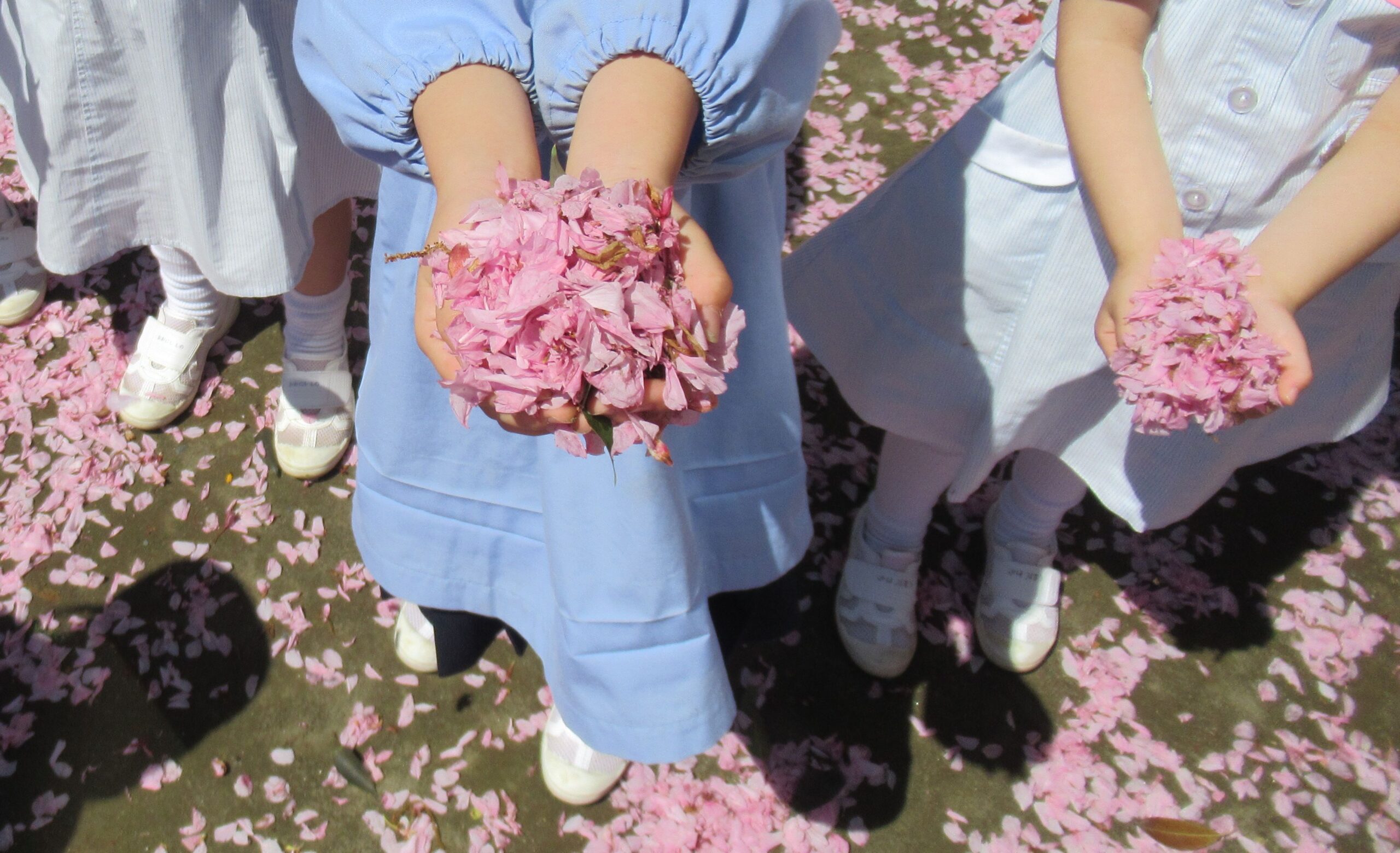 新年度が始まりました！